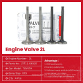 Toyota 2L Engine Intake Exhaust Valve Auto Part